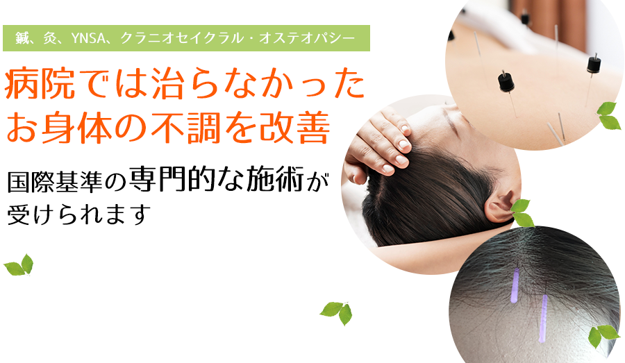 東京/大阪/神戸の鍼灸治療・医療マッサージ・リハビリならナチュラルスタイルへ